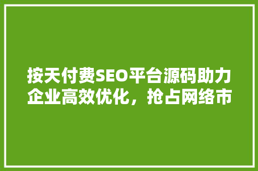 按天付费SEO平台源码助力企业高效优化，抢占网络市场先机