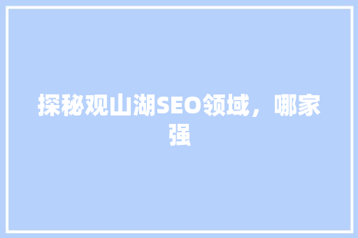 探秘观山湖SEO领域，哪家强