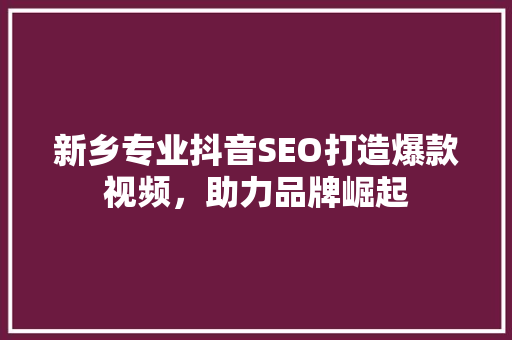 新乡专业抖音SEO打造爆款视频，助力品牌崛起  第1张
