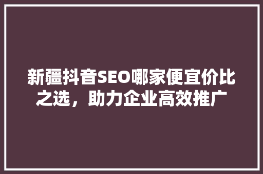 新疆抖音SEO哪家便宜价比之选，助力企业高效推广