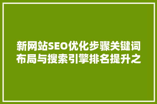 新网站SEO优化步骤关键词布局与搜索引擎排名提升之路