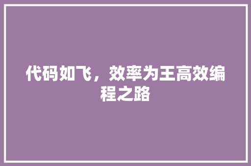 代码如飞，效率为王高效编程之路