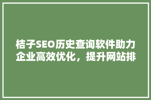 桔子SEO历史查询软件助力企业高效优化，提升网站排名