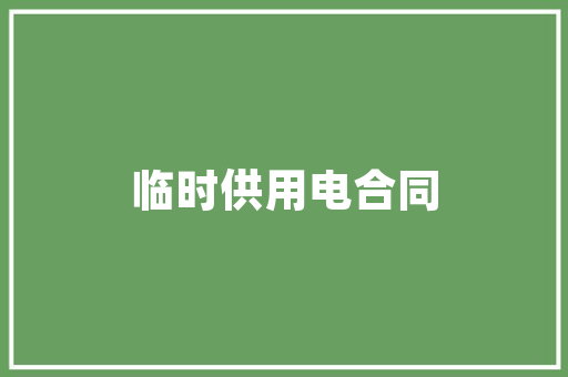 假装编程的艺术探索代码背后的思维奥秘
