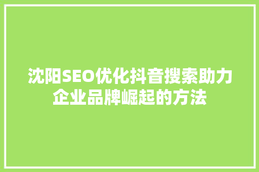 沈阳SEO优化抖音搜索助力企业品牌崛起的方法