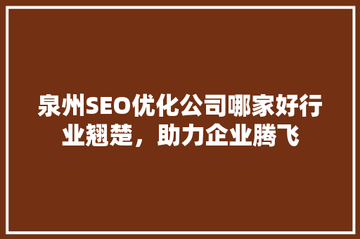 泉州SEO优化公司哪家好行业翘楚，助力企业腾飞
