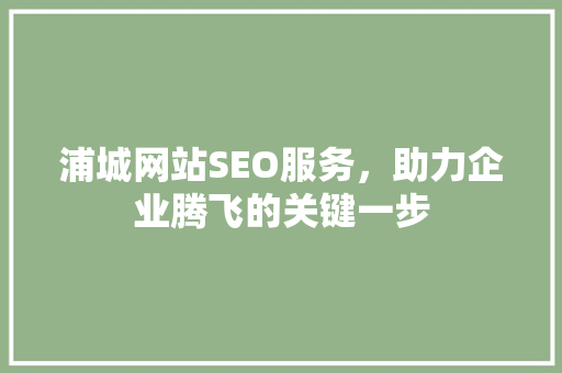 浦城网站SEO服务，助力企业腾飞的关键一步  第1张