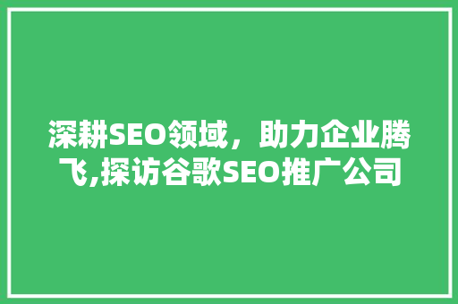 深耕SEO领域，助力企业腾飞,探访谷歌SEO推广公司大连地址