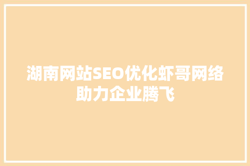 湖南网站SEO优化虾哥网络助力企业腾飞