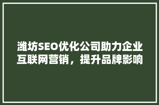 潍坊SEO优化公司助力企业互联网营销，提升品牌影响力