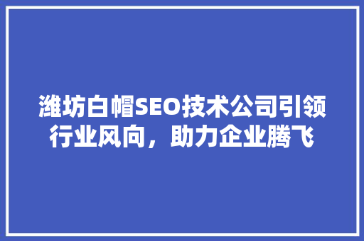 潍坊白帽SEO技术公司引领行业风向，助力企业腾飞