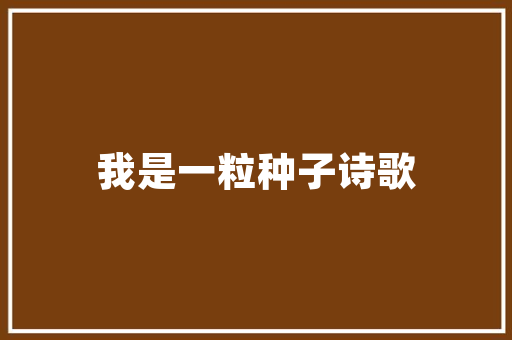 先导发债我国金融市场的创新与突破
