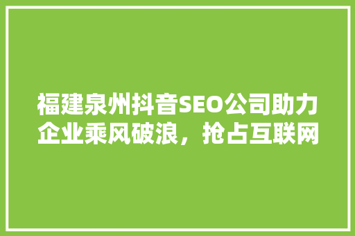 福建泉州抖音SEO公司助力企业乘风破浪，抢占互联网营销高地
