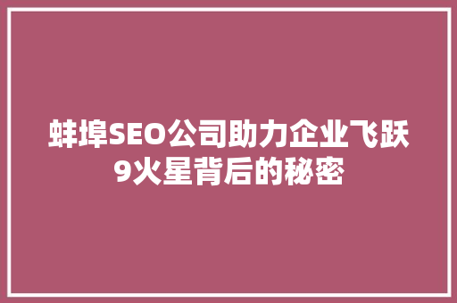 蚌埠SEO公司助力企业飞跃9火星背后的秘密