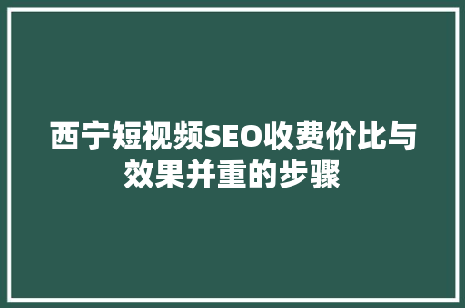 西宁短视频SEO收费价比与效果并重的步骤