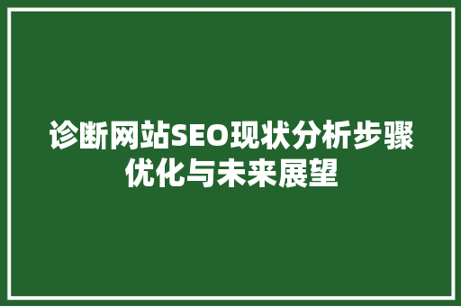 诊断网站SEO现状分析步骤优化与未来展望