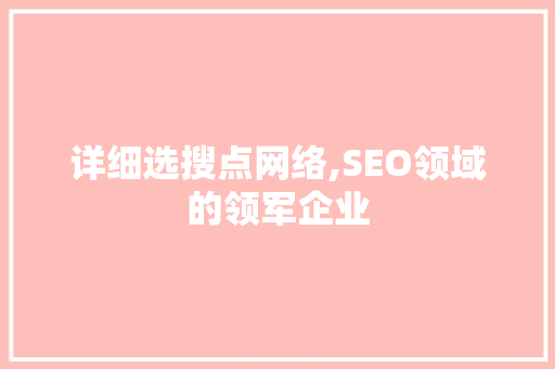 详细选搜点网络,SEO领域的领军企业