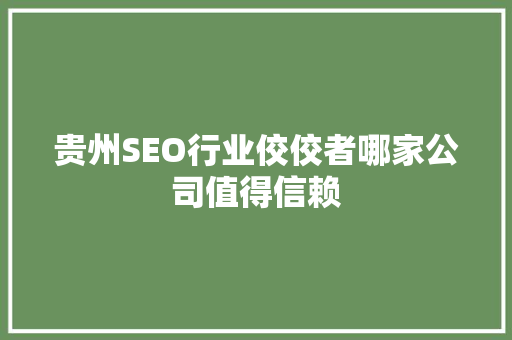 贵州SEO行业佼佼者哪家公司值得信赖