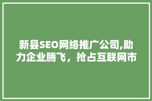 新县SEO网络推广公司,助力企业腾飞，抢占互联网市场制高点  第1张