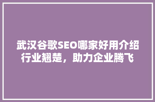 武汉谷歌SEO哪家好用介绍行业翘楚，助力企业腾飞