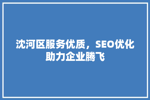 沈河区服务优质，SEO优化助力企业腾飞
