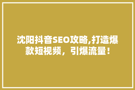 沈阳抖音SEO攻略,打造爆款短视频，引爆流量！