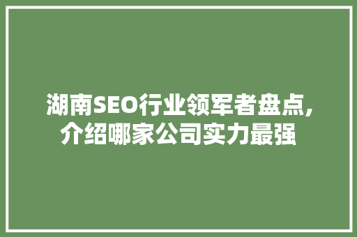 湖南SEO行业领军者盘点,介绍哪家公司实力最强