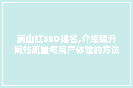 满山红SEO排名,介绍提升网站流量与用户体验的方法