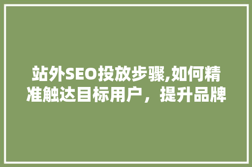 站外SEO投放步骤,如何精准触达目标用户，提升品牌影响力