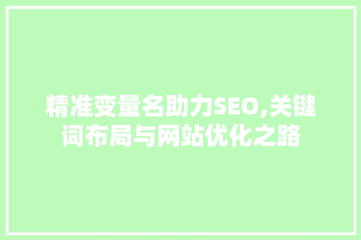 精准变量名助力SEO,关键词布局与网站优化之路  第1张