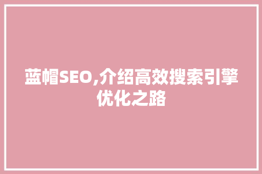 蓝帽SEO,介绍高效搜索引擎优化之路
