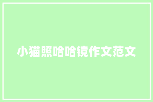 代码量与软件质量详细剖析分支代码量的影响