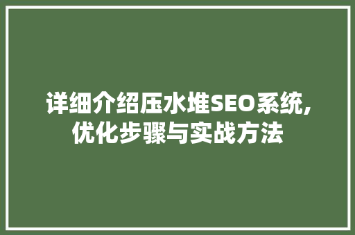 详细介绍压水堆SEO系统,优化步骤与实战方法