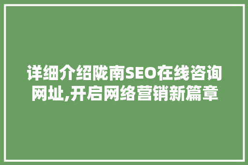 详细介绍陇南SEO在线咨询网址,开启网络营销新篇章  第1张