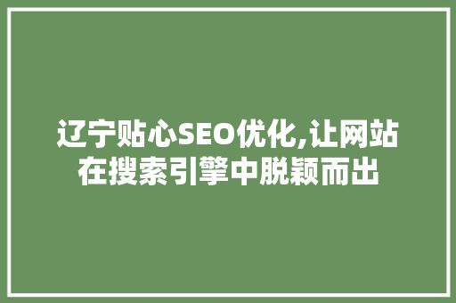 辽宁贴心SEO优化,让网站在搜索引擎中脱颖而出