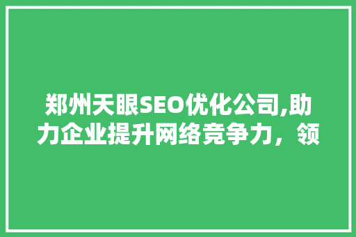郑州天眼SEO优化公司,助力企业提升网络竞争力，领跑行业新篇章  第1张