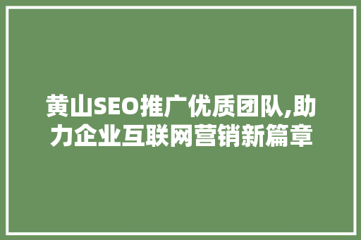 黄山SEO推广优质团队,助力企业互联网营销新篇章