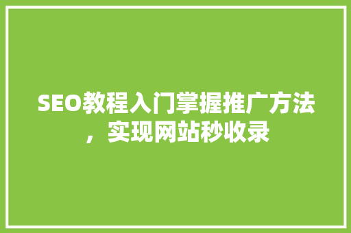 SEO教程入门掌握推广方法，实现网站秒收录