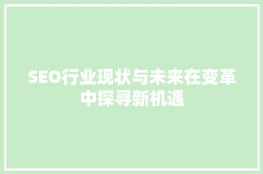 SEO行业现状与未来在变革中探寻新机遇