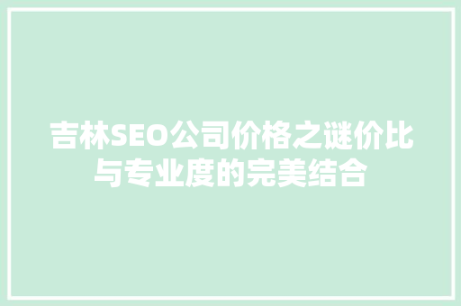 吉林SEO公司价格之谜价比与专业度的完美结合
