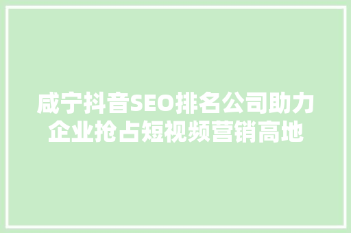 咸宁抖音SEO排名公司助力企业抢占短视频营销高地