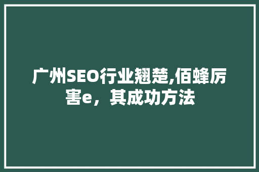广州SEO行业翘楚,佰蜂厉害e，其成功方法