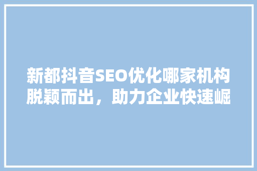 新都抖音SEO优化哪家机构脱颖而出，助力企业快速崛起