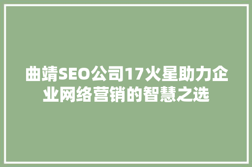 曲靖SEO公司17火星助力企业网络营销的智慧之选
