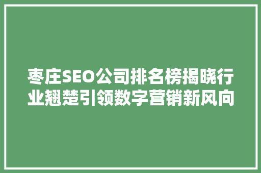 枣庄SEO公司排名榜揭晓行业翘楚引领数字营销新风向