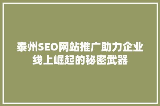 泰州SEO网站推广助力企业线上崛起的秘密武器