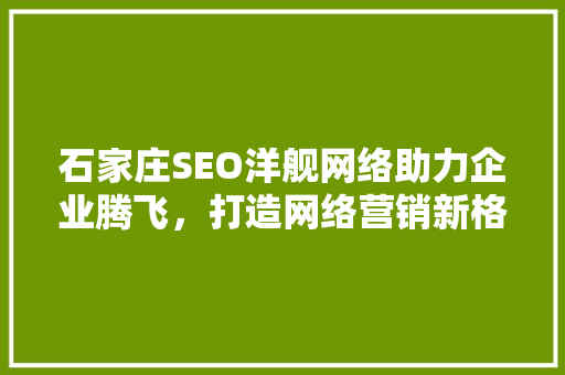 石家庄SEO洋舰网络助力企业腾飞，打造网络营销新格局