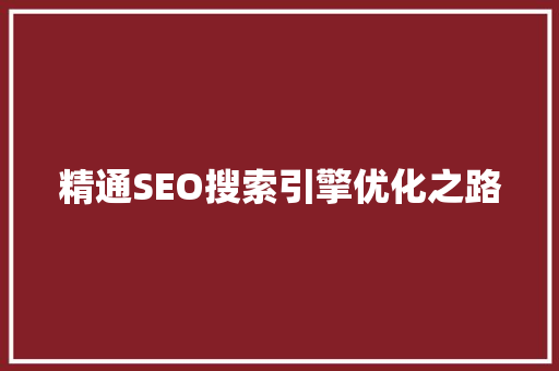 精通SEO搜索引擎优化之路