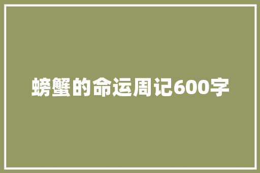ASP技术登录代码背后的奥秘