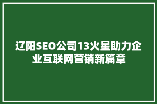 辽阳SEO公司13火星助力企业互联网营销新篇章